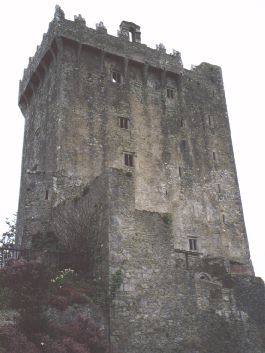 blarney2[1].jpg (18593 bytes)